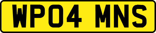 WP04MNS