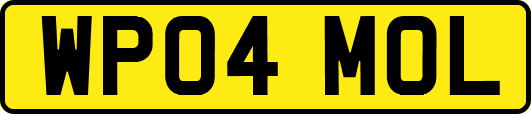 WP04MOL