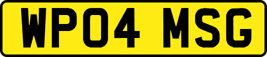 WP04MSG