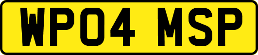 WP04MSP