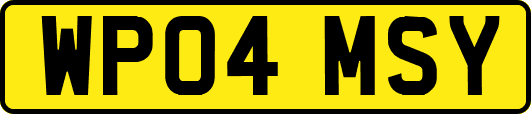 WP04MSY