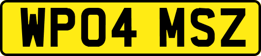 WP04MSZ
