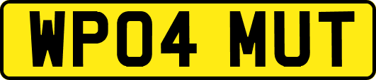 WP04MUT