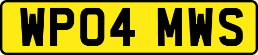 WP04MWS