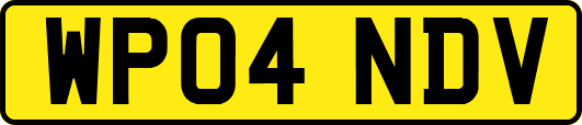 WP04NDV