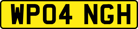 WP04NGH