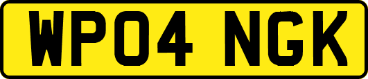 WP04NGK