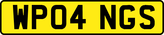 WP04NGS