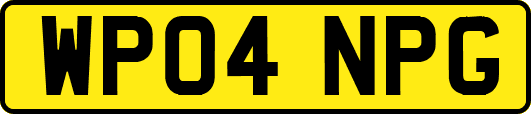 WP04NPG