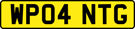 WP04NTG
