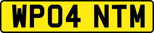 WP04NTM
