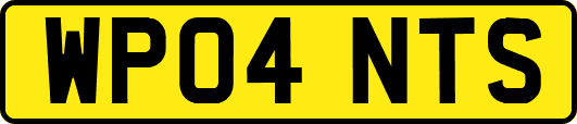 WP04NTS