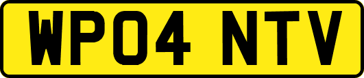 WP04NTV