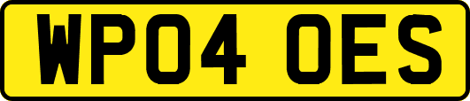 WP04OES
