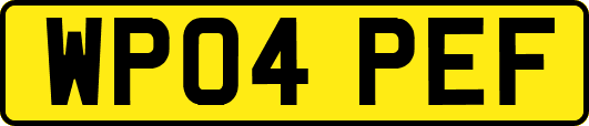 WP04PEF