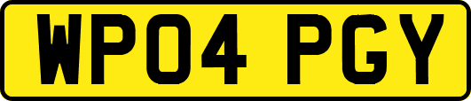 WP04PGY