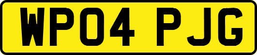 WP04PJG