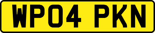 WP04PKN