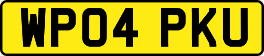 WP04PKU