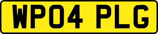 WP04PLG