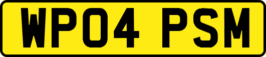 WP04PSM