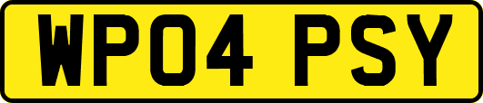 WP04PSY