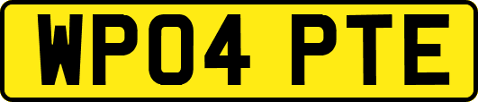 WP04PTE
