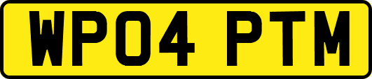 WP04PTM