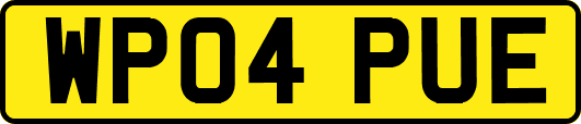 WP04PUE