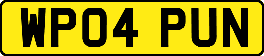 WP04PUN