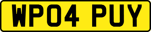 WP04PUY