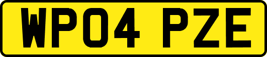 WP04PZE