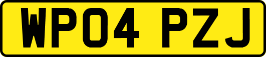 WP04PZJ