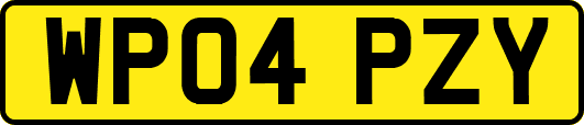 WP04PZY