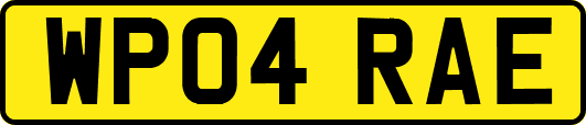 WP04RAE