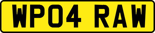WP04RAW
