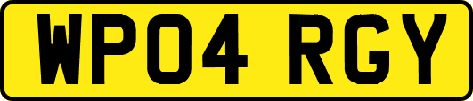 WP04RGY