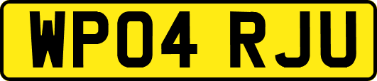WP04RJU