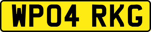 WP04RKG