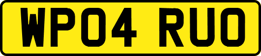 WP04RUO