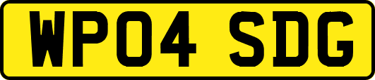 WP04SDG