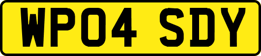 WP04SDY