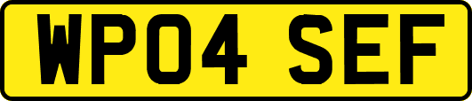 WP04SEF