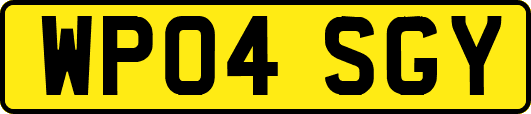 WP04SGY