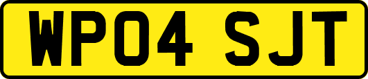 WP04SJT
