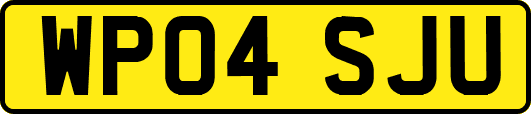 WP04SJU