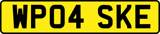 WP04SKE