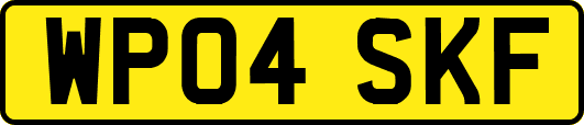 WP04SKF