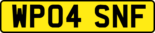 WP04SNF