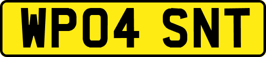 WP04SNT